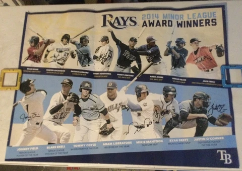 Tampa Bay Rays signed 2014 Minor League Award Winners Poster 13 Autographs Cover