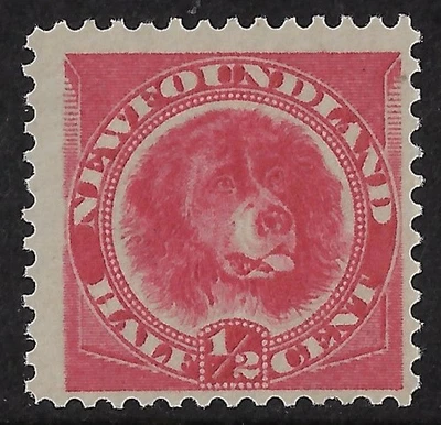 Newfoundland 1887 Scott 56/SG 49 MLH, ½ c rose-red dog, F-VF, CV $12.50. (a7075a - Image 1 of 3