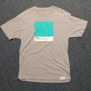 DIAMOND SUPPLY CO Grey T-Shirt Size L Men's PMS 98-2012 Diamond Blue - Picture 1 of 5
