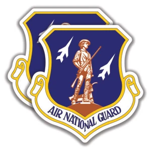 2 calcomanías de la Guardia Nacional Aérea de EE. UU. Bogo - Imagen 1 de 1