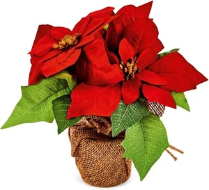 Artificial Floral Arrangement Christmas Poinsettia Bouquet in Hessian Pot 24cm - Picture 1 of 1