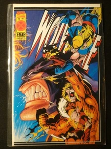 Marvel/DC Lot, 60 Comics - Batman, Superman, Wolverine, Spider-Man & More! - Picture 1 of 10
