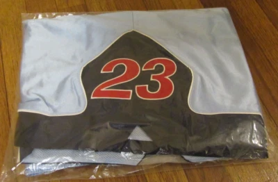 Pantalones Cortos de Calentamiento Supreme Jordan Talla XL Azul Claro FW24 Supreme New York 2024 Nuevos Foto 1 de 4