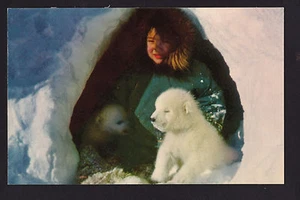 c1950 Eskimo Junge spielt mit Eisbärenjungen Tauschinsel Alaska Postkarte - Bild 1 von 2