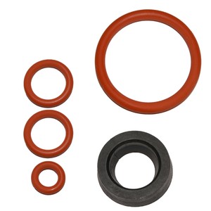 Dichtungsatz passend für Saeco Royal Magic Incanto Primea Talea Xelsis Exprelia