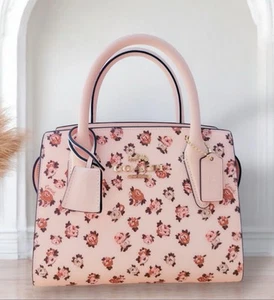 Coach Andrea Borsa a tracolla Borsa a tracolla Oro Blush Multi - Foto 1 di 12
