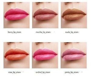 Palladio Lip Stain "LIS"  (PICK A COLOR)  --  FREE SHIPPING