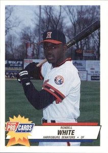 Rondell White 1993 Fleer ProCards #281 RC Harrisburg Senators *AutographDen* - Picture 1 of 2
