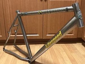 Vintage 1999 Litespeed Owl Hollow 20" HT Mountain Bike 90s MTB Titanium USA Ti - Picture 1 of 24