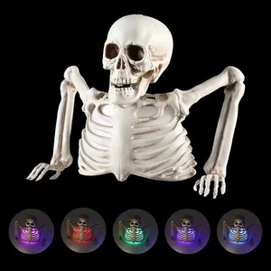 Realistic Glowing Halloween Skeleton 5 Color Haunted House Party Prop Decoration - Picture 1 of 9