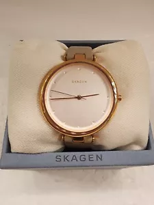 SKW2484 Skagen Tanja Leather strap Silver Dial Quartz Women Watch - Picture 1 of 9