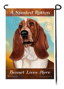 A Spoiled Rotten (Red and White) Basset Lives Here - Picture 1 of 1