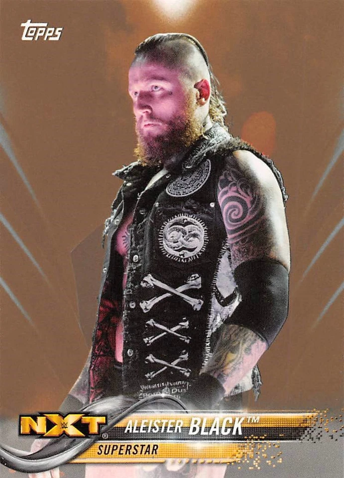 2018 Topps WWE Bronze Parallel Singles - You Choose - Image 1 of 1