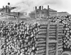 Superstock Wooden Logs Loaded in Trucks Near A Paper Mill Poster Print 24 x 36 - Picture 1 of 1