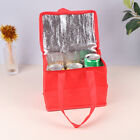 Portable Lunch Cooler Bag Folding Insulation Picnic Ice Pack Food Thermal Bag~