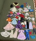 Barbie Doll Lot Of Clothes & Accessories-TLC