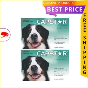 CAPSTAR GREEN Pack For Large Dogs Over 11 Kg 12 Doses Flea Treatment FREE Ship - Picture 1 of 2