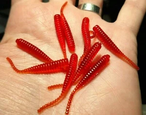 10 x Bloodworm Red 3.5cm Soft Lure maggot worm tail LRF Perch Trout Mini Species - Picture 1 of 14