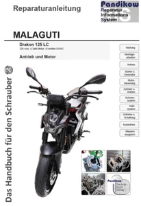 Reparaturanleitung RIS Malaguti Drakon 125 LC, 4-Ventiler DOHC, Antrieb u. Motor - Bild 1 von 4