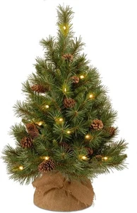 Mini árbol de Navidad preiluminado de 3 pies National Tree Company blanco cálido LED piñas - Imagen 1 de 9