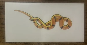 Vintage - 1962 - Gelles Widmer - Reptile CARD -41. Great Plains Ground Snake - Picture 1 of 2