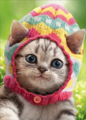 AVANTI PRESS Kitten Wears Knit Egg Cap Cute Cat Easter Card - Greeting Card by Avanti