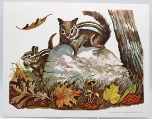 Vtg Teaching Art Print CHIPMUNKS 1966 MidCentury Tiny Tots Pub w/Reference - Picture 1 of 5