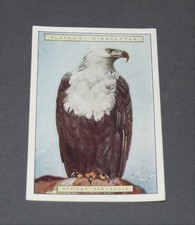 1924 CARD JOHN PLAYER NATURAL HISTORY #5 AFRICAN SEA-EAGLE EAGLE CIGARETTES