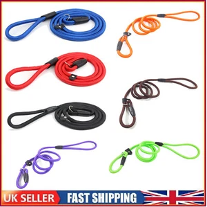 Puppy Dog Training Slip Rope Dog Lead Strong Nylon Training Walking Leash 6-10mm - Picture 1 of 12