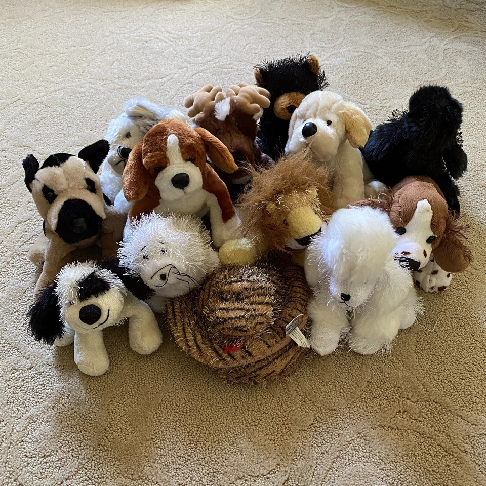 Webkinz Lot of 13 Plush Stuffed Animals No Codes - Image 1 of 4