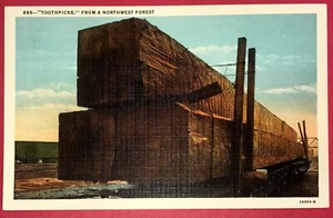 Postcard Northwest Logging Giant Timbers "Toothpicks" Lumber - Picture 1 of 2