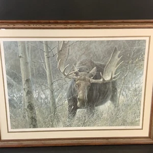 Large Robert Bateman - Challenge - Bull Moose - Limited Edition Print - Sgnd - Picture 1 of 7