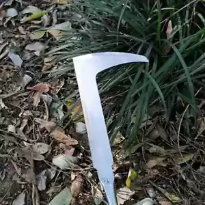 Stainless Steel Weeding Tool for Digging Wild Vegetables Perfect Holiday Gift - Picture 1 of 6