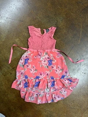 Vestido rosa y violeta de encaje de fiesta sin mangas para niñas talla 6 rosa floral Foto 1 de 3