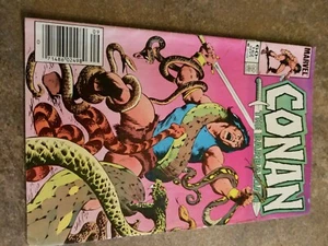 Cómic Conan el Bárbaro Marvel Comics Vol 1 Nº 162 Septiembre 1984 - Imagen 1 de 7