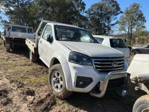 2012 Great Wall V200 V240 SA220 Ute Right Door Check Strap 09-16 #B307 - Picture 1 of 12