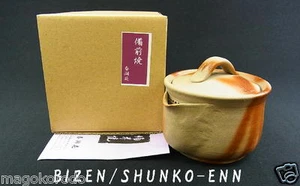 o4850, japonés, artículos Bizen, SHUNKO-ENN, tetera Hidasuki tipo HOUHIN. - Imagen 1 de 6