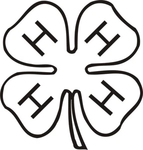 4 H Clover Symbol 1 Color Window Wall Vinyl Decal Sticker Printed Graphic - Picture 1 of 5