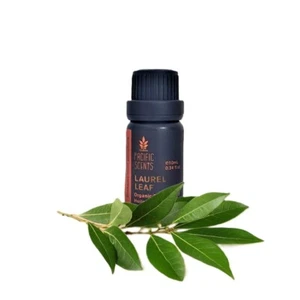 Bay Leaf essential oil - Picture 1 of 1