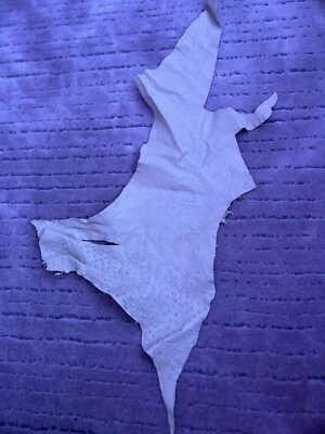 Genuine 100% Ostrich Exotic Leather Hide Head Upholstery Wallet Belt Bag Boot - Image 1 of 3