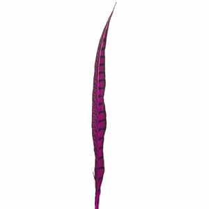 20" to 30" Lady Amherst Pheasant Side Tail Feather - Cerise - Picture 1 of 3