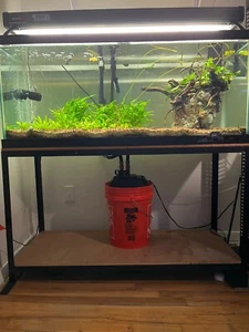 Fish Tank with recently purchased Fluval 407 Canister Filter and More - Picture 1 of 5