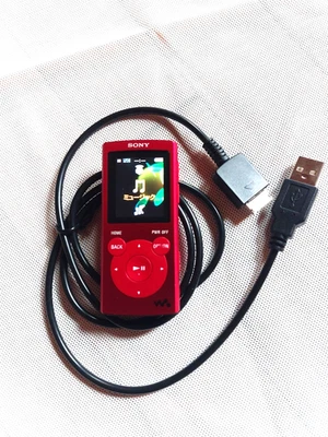 索尼 Walkman NW-E062 2GB 数字音乐播放器 - 已测试和工作 - 日本型号 — 第 1/4 张图片