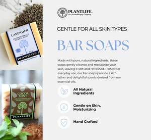 Plantlife 4oz Holiday Bar Soap-Moisturizing and Soothing Soap for Your Skin - Picture 1 of 4