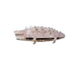 Griffe de cheveux de crocodile animal - clip de barrette acétique géométrique accessoire de cheveux pour femmes