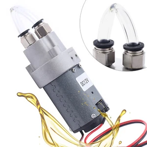 Pompa Olio Elettrica DC 12V Micro Ingranaggio Pompa Trasferimento Autoaspirazione 23W - Foto 1 di 11