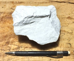 Kieselgur - Lehrhandpräparat der Lacustrinkieselgur - Bild 1 von 9