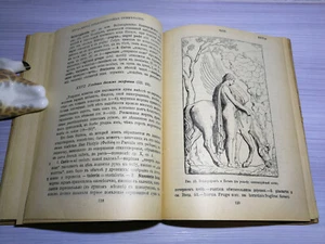 1916. Гораций. Стихотворения. Латинский. Русский. Horaz Kaiserreich Russisch Buch - Bild 1 von 16