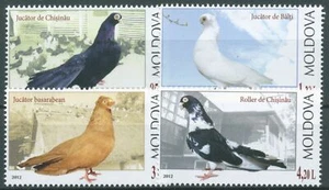 Moldavia 2012 animales aves palomas 799/02 nuevo - Imagen 1 de 1