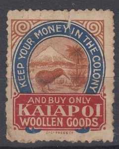 NEW ZEALAND 1905 KAIAPOI WOOLLEN GOODS CINDERELLA (ID:73/D13336) - Picture 1 of 1